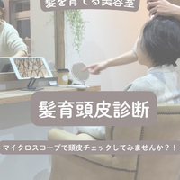 画像1434