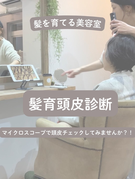 画像1434