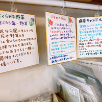 画像1463
