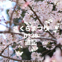 画像1466