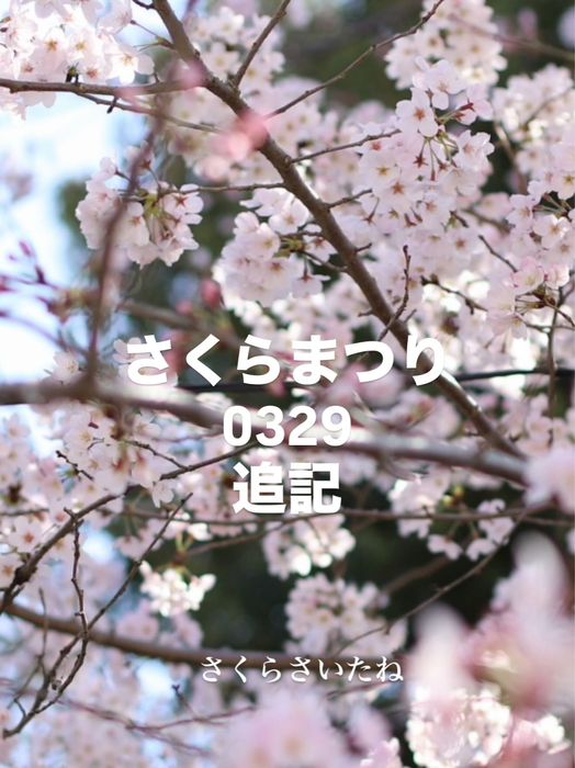 画像1466