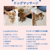 画像1506