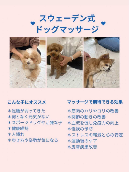 画像1506