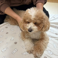 画像1510