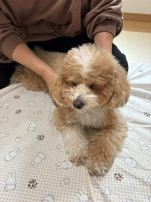 画像1510