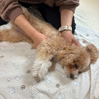 画像1511