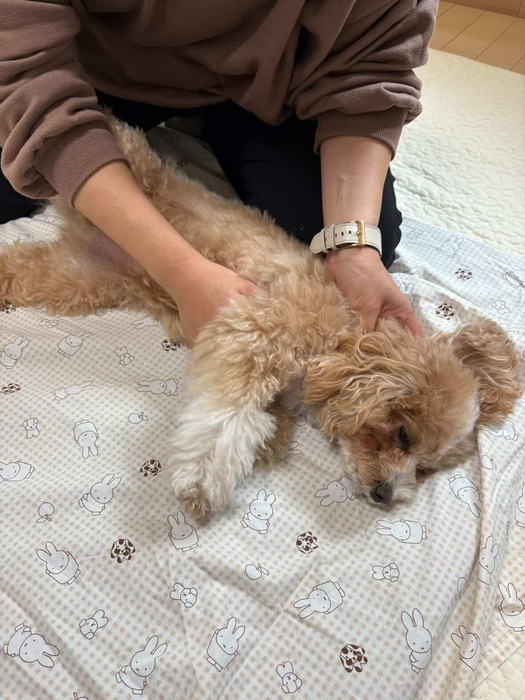 画像1511