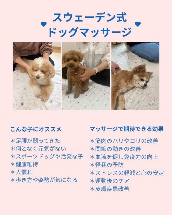 画像1563