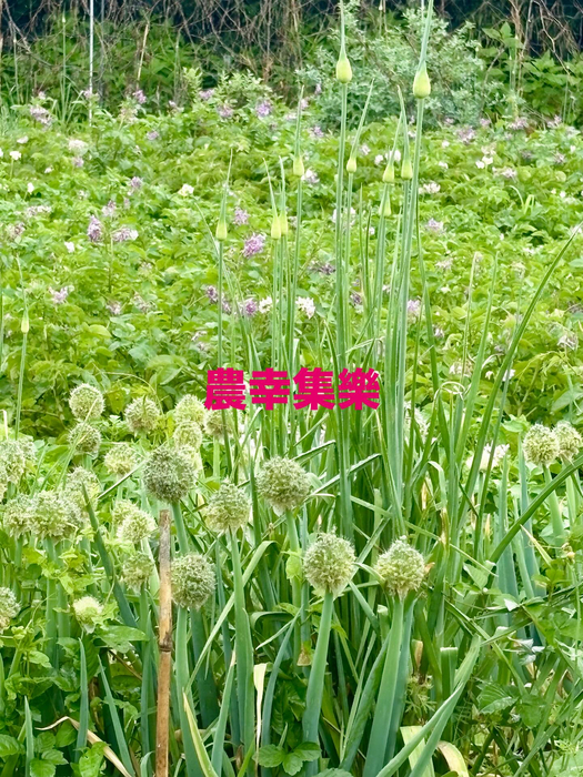 画像1770