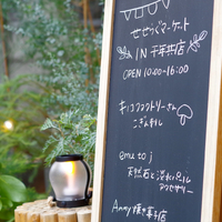 画像2234
