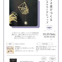 画像2262