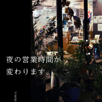 画像2268