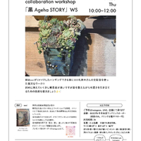 画像638