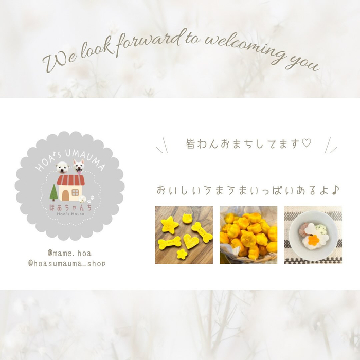 画像903